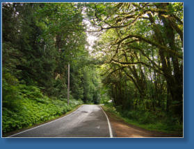 Auf dem Weg zur Hurrican Ridge, Olympic NP, WA