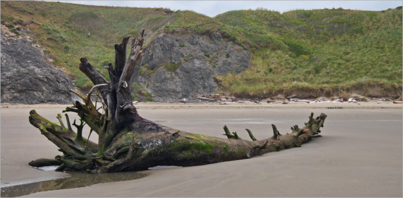 Bandon Beach, OR
