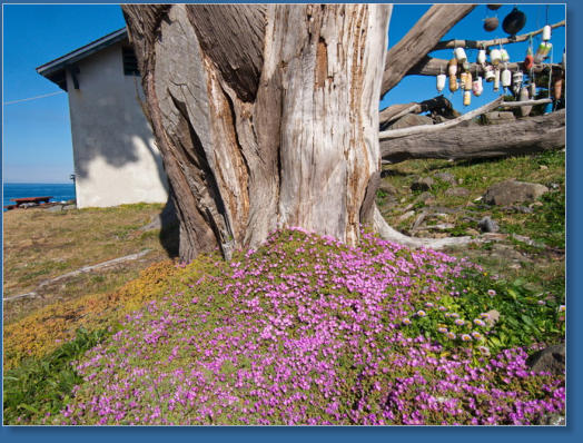 Battery Point Lighthouse, Crescent City, CA