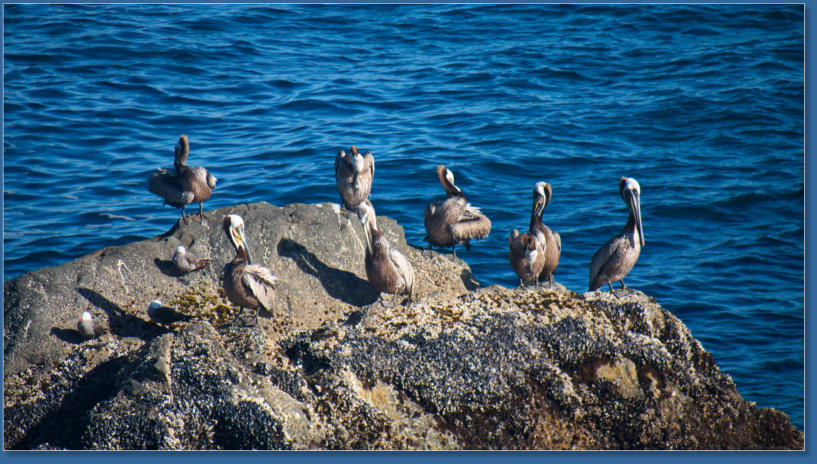 Battery Point Lighthouse, Crescent City, OR