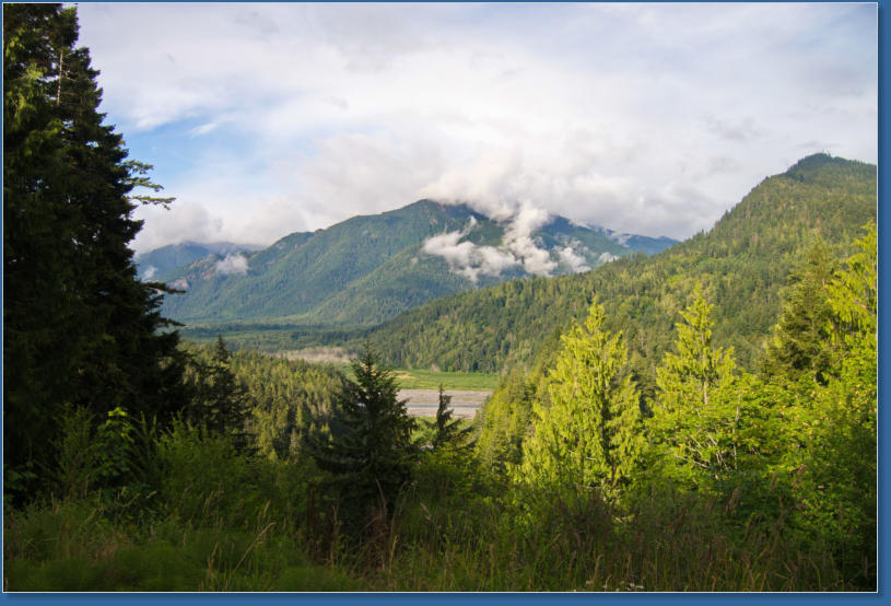 Blick Richtung Hurrican Ridge, Olympic NP, WA