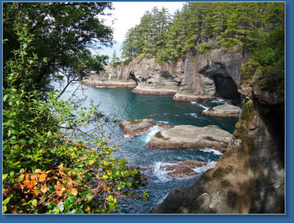 Cape Flattery - Olympic NP, WA