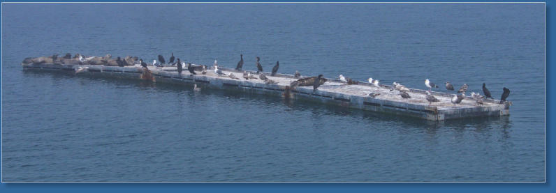 Fischereihafen von Crescent City, CA