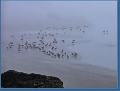 Fischereihafen von Crescent City, CA