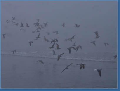 Fischereihafen von Crescent City, CA