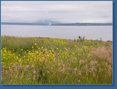 Fort Casey State Park, WA