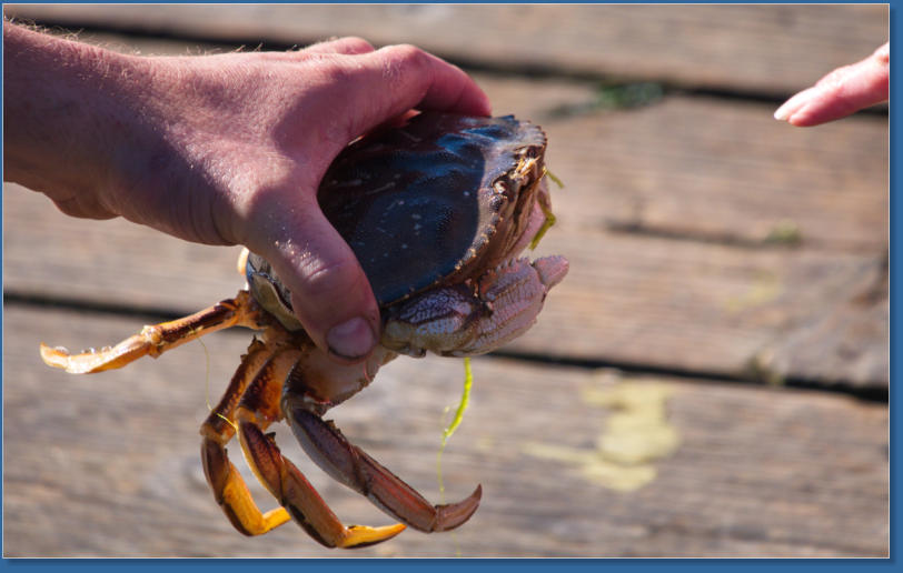 Hafen von Newport, OR