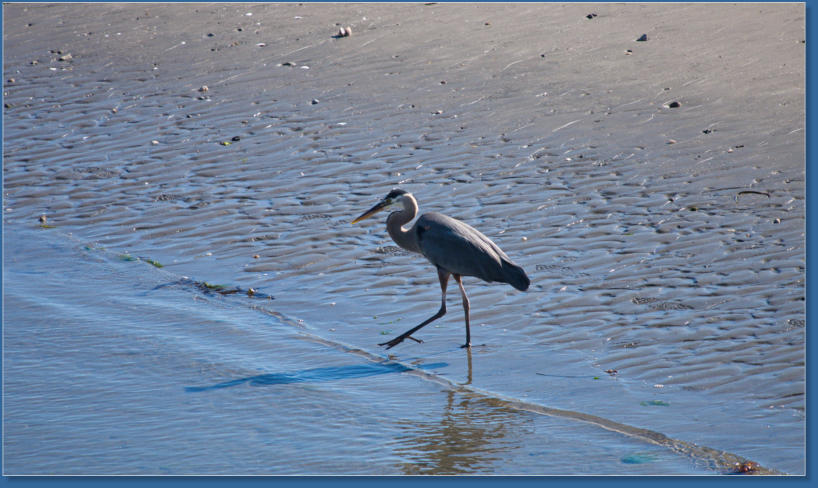 Hafen von Newport, OR