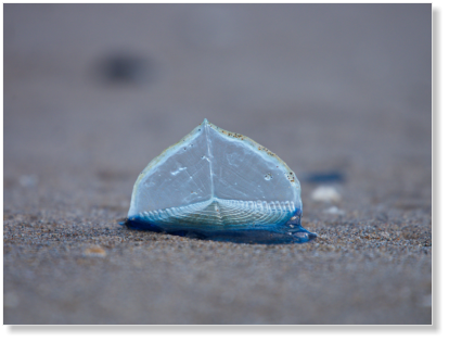 Hug Point State Park, OR