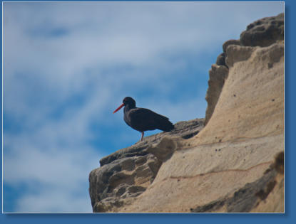 Hug Point State Park, OR