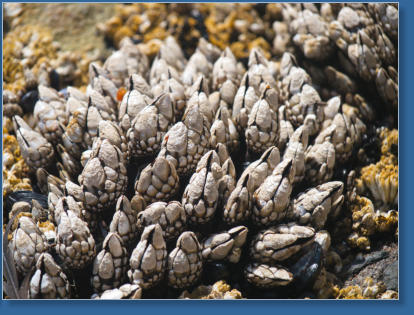 Hug Point State Park, OR