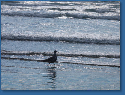 Hug Point State Park, OR