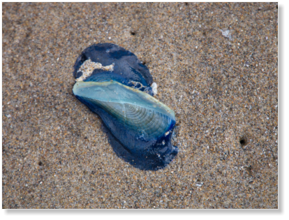 Hug Point State Park, OR