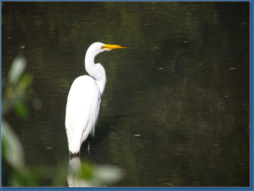 Humboldt Bay National Wildlife Refuge, CA