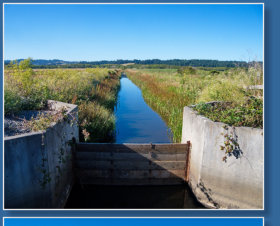 Humboldt Bay National Wildlife Refuge, CA