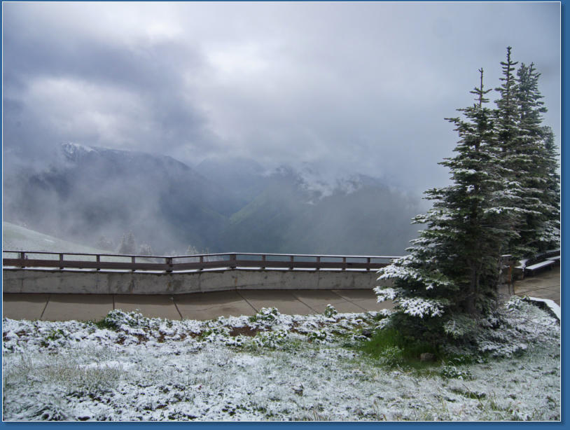  Hurrican Ridge, Olympic NP, WA
