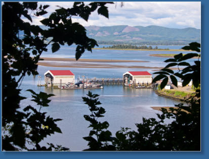 Impressionen vom Weg zum Cape Disappointment  LIghthouse im Cape Disappointment State Park, WA