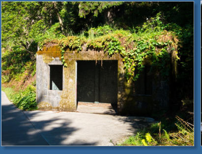Impressionen vom Weg zum Cape Disappointment  LIghthouse im Cape Disappointment State Park, WA