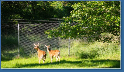 Impressionen vom Weg zum Cape Disappointment  LIghthouse im Cape Disappointment State Park, WA