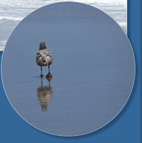 Indian Beach, Ecola SP, OR