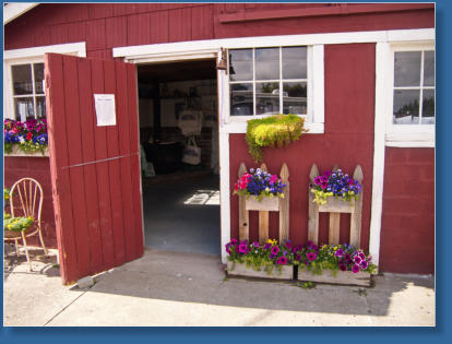 Lavendelfarm, Sequim, WA