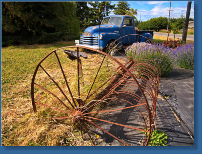 Lavendelfarm, Sequim, WA