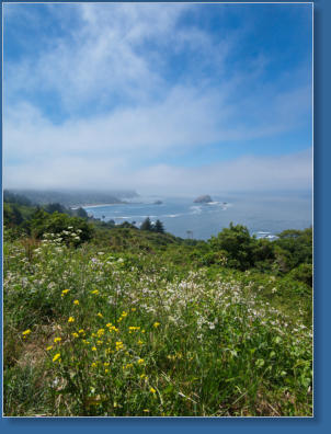 Nebelschleier entlang der Kalifornischen Küste