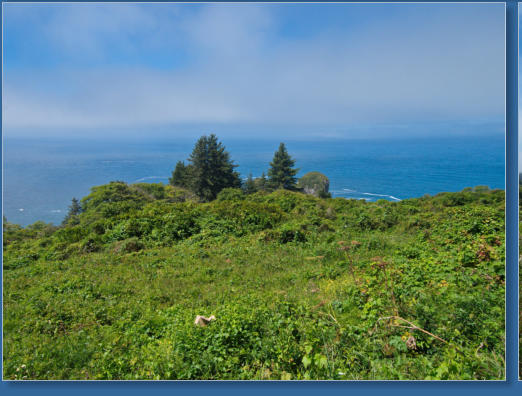 Nebelschleier entlang der Kalifornischen Küste