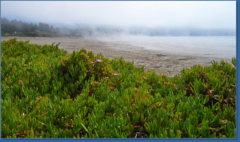 Nebelschleier entlang der Kalifornischen Küste