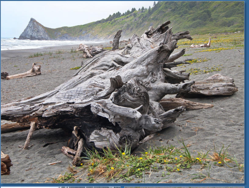 On the Beach in California