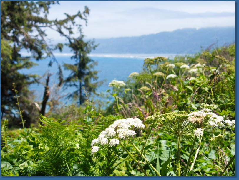 Patricks Point SP, CA