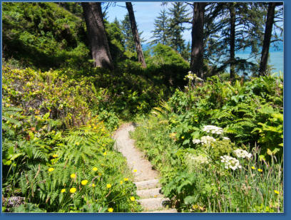 Patricks Point SP, CA