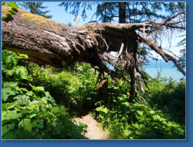 Patricks Point SP, CA