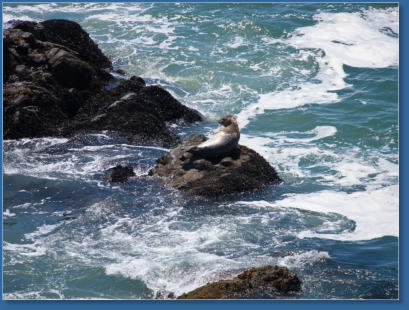 Patricks Point State Park, CA