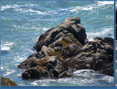 Patricks Point State Park, CA