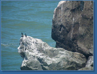 Patricks Point State Park, CA
