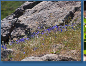 Patricks Point SP, CA