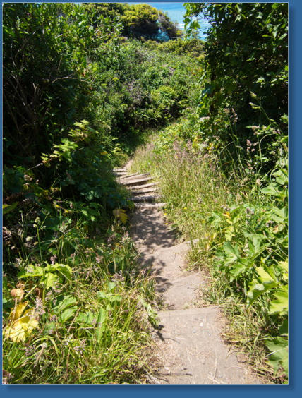 Patricks Point State Park, CA