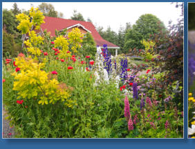 Purple Haze Lavender Farm, Sequim, WA