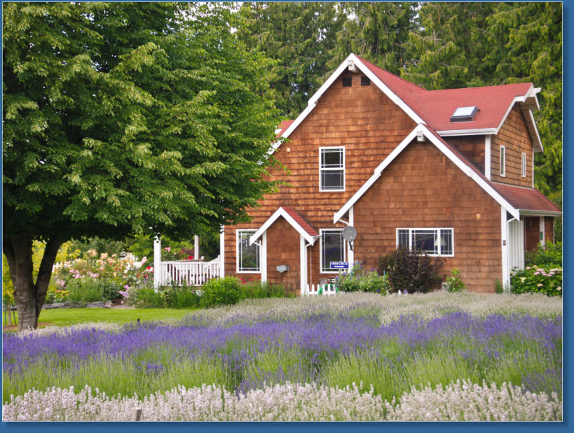 Purple Haze Lavender Farm, Sequim, WA