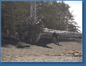 Rialto Beach, Olympic Peninsula, WA