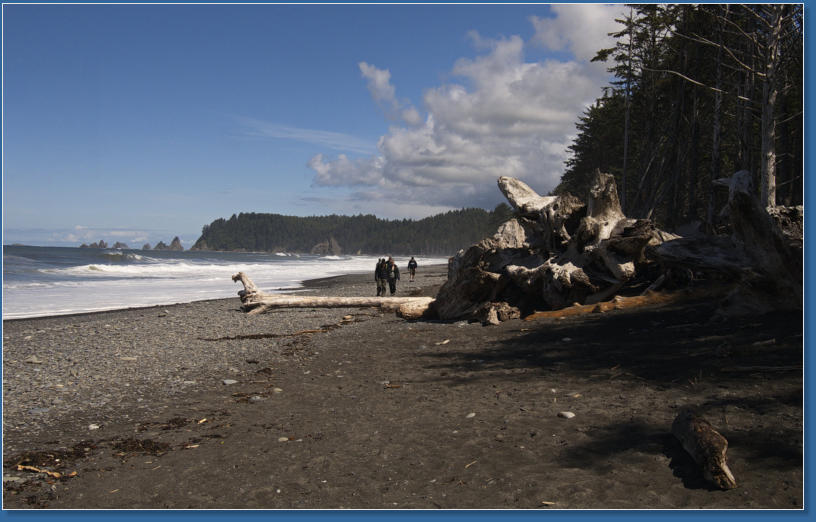 Rialto Beach, Olympic Peninsula, WA