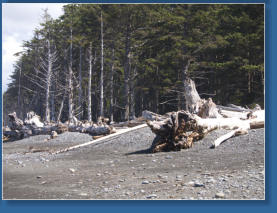 Rialto Beach, Olympic Peninsula, WA