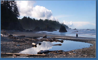 Ruby Beach, Olympic Peninsula, WA
