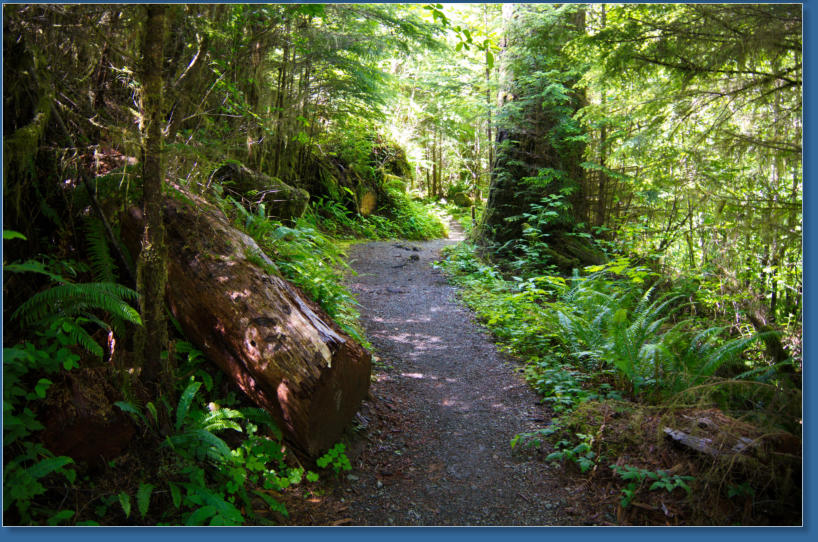 South Shore Trail, Lake Quinault, WA