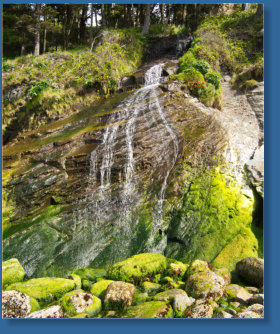 Wasserfall im Oswald West SP