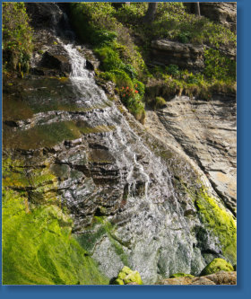 Wasserfall im Oswald West SP