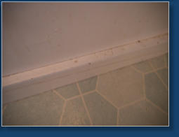 Mt. Rainier Valley Lodge, Elbe, WA