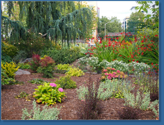 Parkanlange zwischen Space Needle und Glasmuseum - Seattle, WA