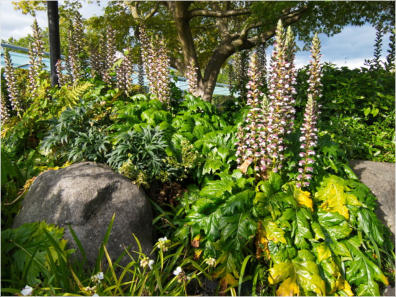 Parkanlange zwischen Space Needle und Glasmuseum - Seattle, WA